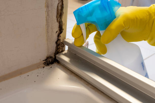 Mold Remediation for Rental Properties